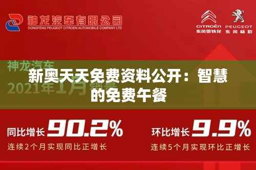 新奥天天免费资料公开:智慧的免费午餐