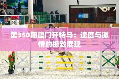 第350期澳门开特马:速度与激情的极致展现