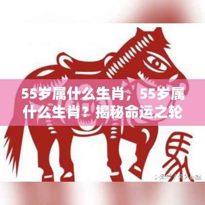 揭秘命运之轮下的独特魅力与运势走向,55岁属相生肖解析