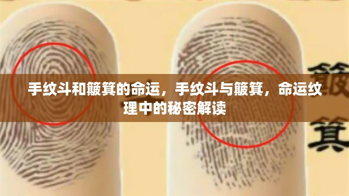 手纹斗与簸箕,命运纹理的奥秘解读