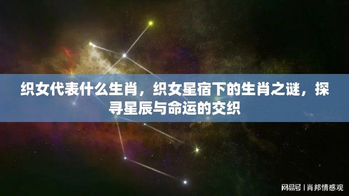 织女星宿下的生肖之谜,探寻星辰与命运的交织,揭秘织女代表的生肖