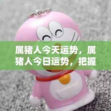 属猪人今日运势,把握机遇,顺势而为的幸运指南