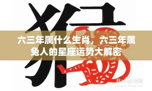 六三年生肖揭秘与属兔人的星座运势详解