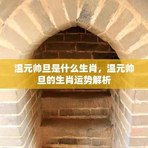 温元帅旦的生肖及运势解析