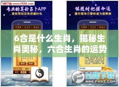 揭秘生肖奥秘,六合生肖运势解析与奥秘探寻