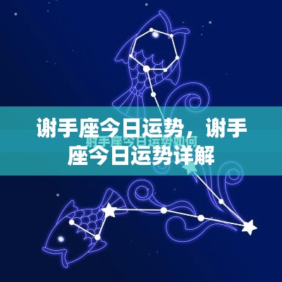 谢手座今日运势详解,全面解析今日运势走向