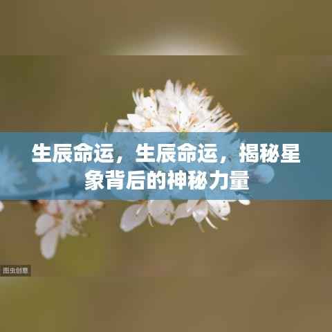 漫不经心 第3页