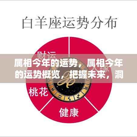 属相今年运势概览,洞悉先机,掌握未来运势走向