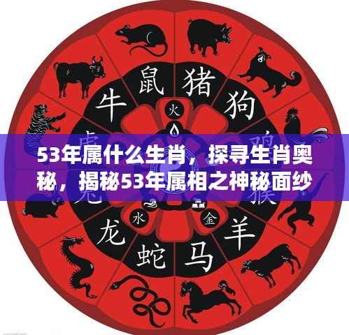 揭秘生肖奥秘,探寻1953年属相的神秘面纱