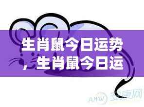 生肖鼠今日运势详解