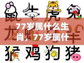 揭秘生肖运势,探寻77岁属相与人生轨迹的奥秘