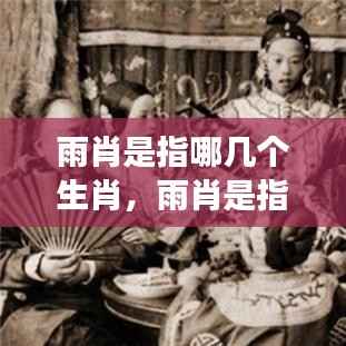 雨肖揭秘,哪些生肖与雨天有神秘联系?解读生肖与天气的奥秘。