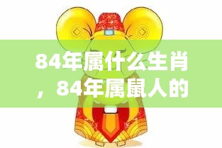 揭秘,1984年属鼠人的生肖运势全面解析