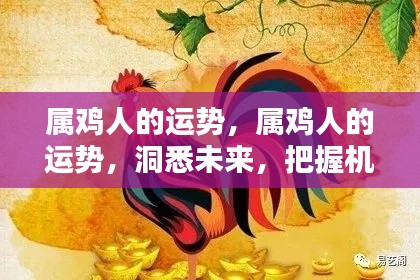 属鸡人的未来运势展望,洞悉机遇与挑战,把握命运之舵