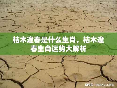 一丝不苟 第3页