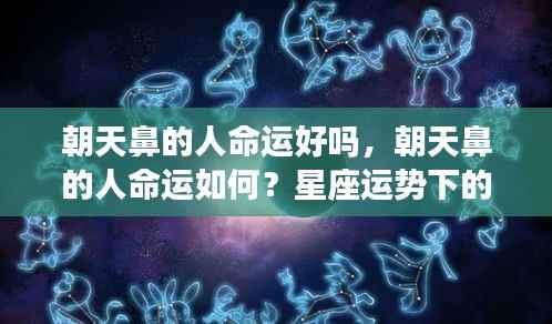 星座运势解读,朝天鼻的人命运个性分析