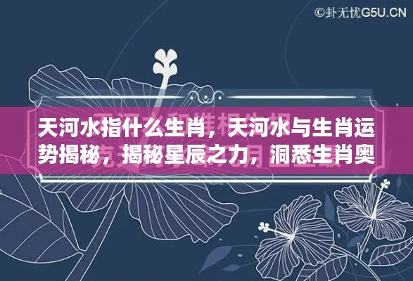 揭秘天河水与生肖运势,星辰之力与生肖奥秘探寻