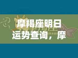 摩羯座明日运势详解,稳健前行,机遇与挑战并存