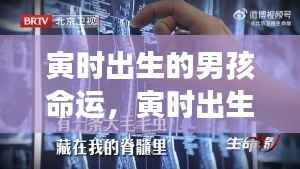 寅时出生的男孩,天赋卓越,命运非凡