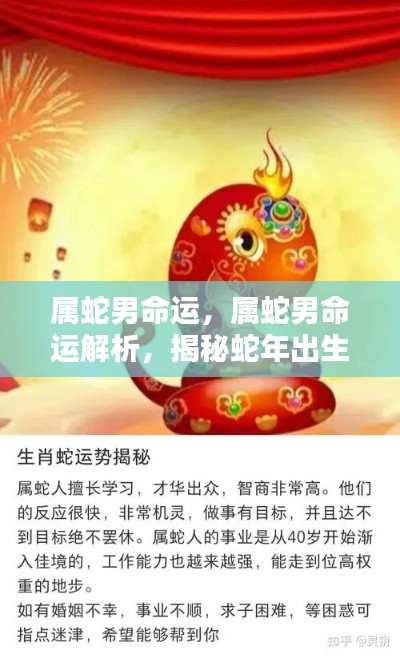 揭秘属蛇男的命运轨迹与人生解析