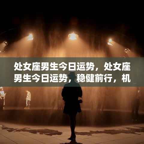 处女座男生今日运势,稳健前行,机遇与挑战并存