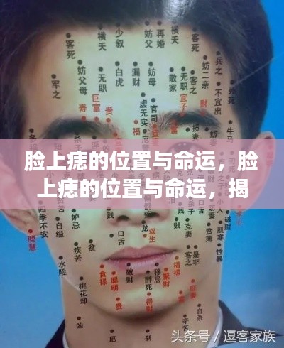 揭秘脸上痣的位置与命运,痣相学中的奥秘探讨