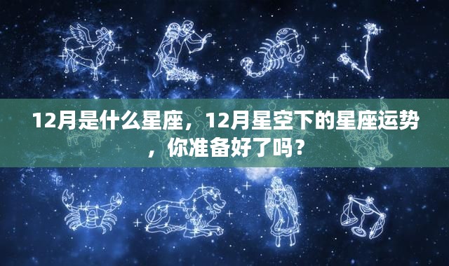 12月星座运势揭秘,星空下的星座运势指南