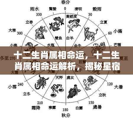 揭秘十二生肖属相命运与星宿奥秘解析