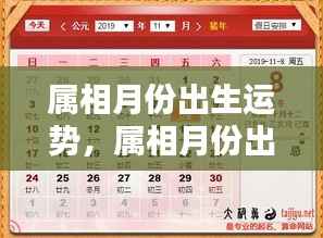 揭秘属相月份出生运势,洞悉命运走向的奥秘