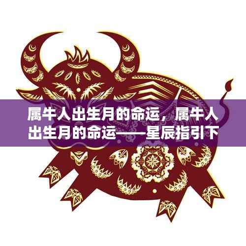属牛人出生月的命运揭秘,星辰指引下的命运轮廓