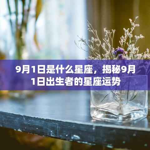 揭秘9月1日出生者的星座运势,星座与命运之谜