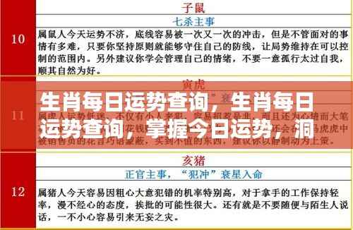 今日生肖运势解析,掌握运势动态,洞悉未来走向。