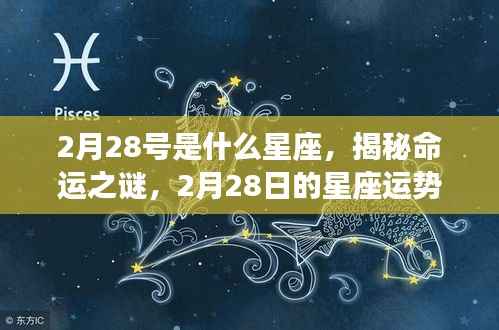 揭秘命运之谜,2月28日星座运势解析及星座属性探讨