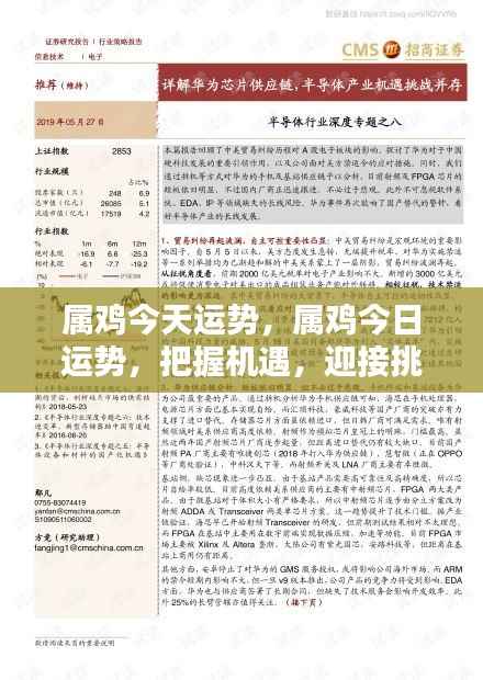 属鸡今日运势展望,把握机遇,迎接挑战