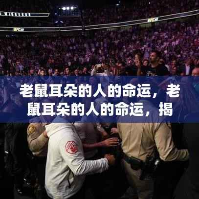 鸟语蝉鸣 第4页