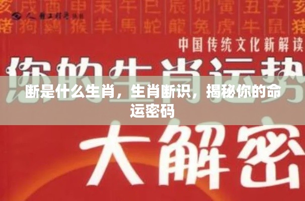 腾龙换鸟 第3页