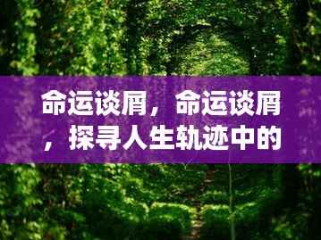探寻人生轨迹中的微妙变化——命运谈屑