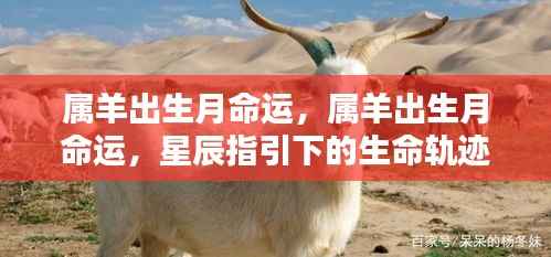 星辰指引下的命运轨迹,属羊人的出生月命运解析