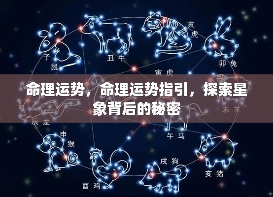 探索命理运势与星象秘密,命理指引之路