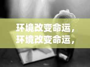 环境变迁与星座运势下的适应成长之路