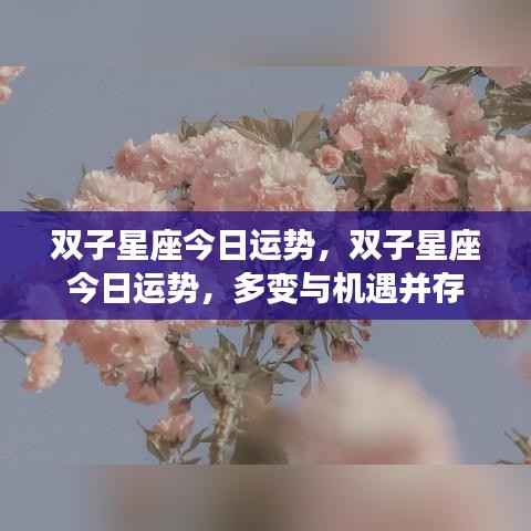 双子星座今日运势,多变与机遇并存,掌握运势变化的关键时刻