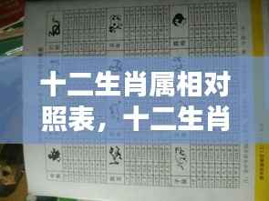 十二生肖属相对照表,洞悉命运轮廓的秘密