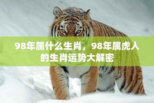 揭秘,1998年属虎人的生肖运势及性格特征解析