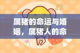 属猪人的命运与婚姻展望,探寻幸福轨迹