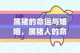 属猪人的命运与婚姻展望,探寻幸福轨迹