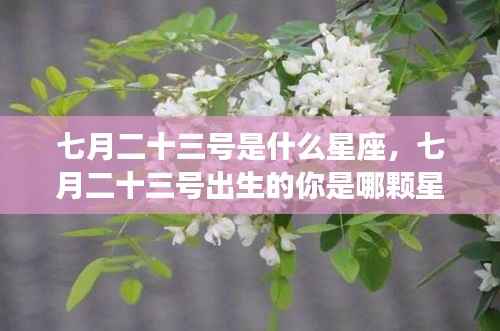 七月二十三号星座揭秘,守护星宿与运势深度解析