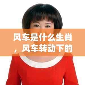 风车转动下的生肖星座运势揭秘,探寻生肖与星座的神秘纽带