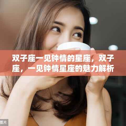 双子座魅力解析,一见钟情星座的魅力与特点解析