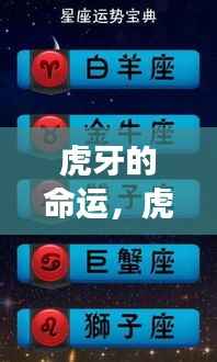 虎牙星座运势解析,探寻星座与命运的神秘联系