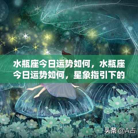 水瓶座今日运势详解,星象指引下的独特魅力与运势展望